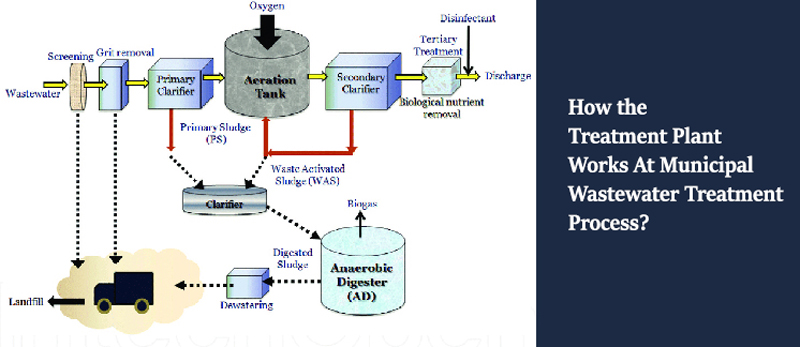 How the treatment plant works at municipal wastewater treatment process?