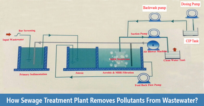 How sewage treatment plant removes pollutants from wastewater?