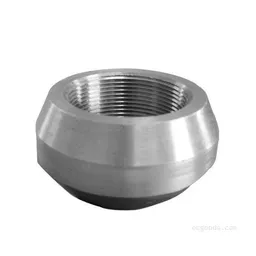 Stainless Steel Sockolets in Darbhanga