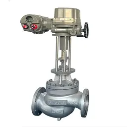 Electric Globe Control Valve, ASTM A351 CF3M, 6 Inch, 150 LB