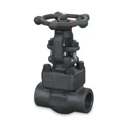 Forged Gate Valve, Carbon Steel, API 602, 1/2-2 Inch, 800-2500LB