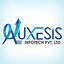 Auxesis   Infotech