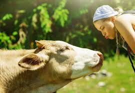 Animal Welfare